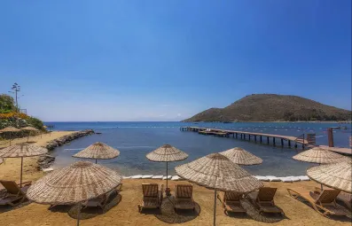 LIV HOTEL BY BELLAZURE Pools & Beach