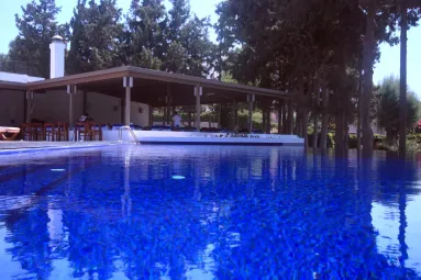 LIV HOTEL BY BELLAZURE Pools & Beach