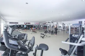 LONICERA RESORT-SPA Activities