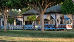 LONICERA WORLD HOTEL Bars