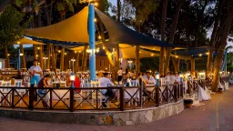 LONICERA WORLD HOTEL Bars