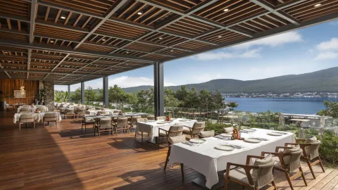 LUJO ART - JOY Restaurants