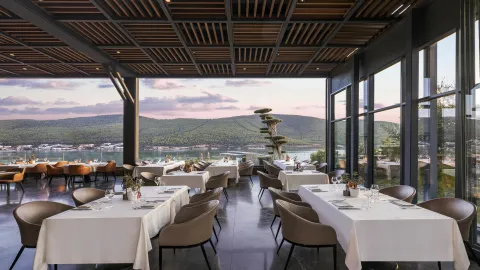 LUJO ART - JOY Restaurants