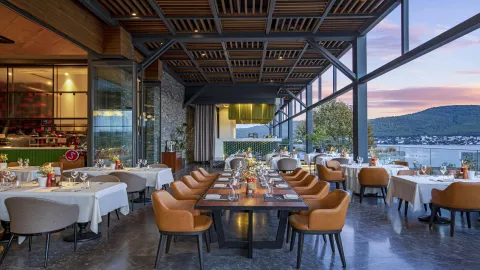 LUJO ART - JOY Restaurants