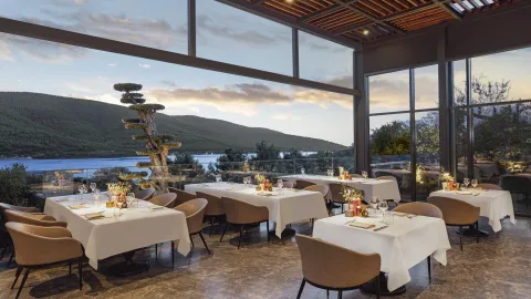 LUJO ART - JOY Restaurants