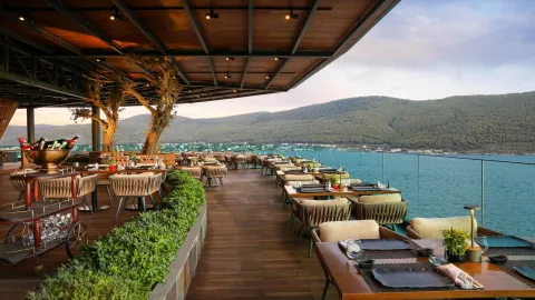 LUJO ART - JOY Restaurants