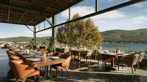 LUJO ART - JOY Restaurants