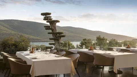 LUJO ART - JOY Restaurants