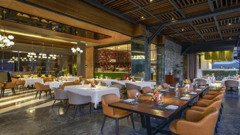 LUJO ART - JOY Restaurants
