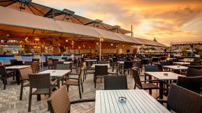 TUI MAGIC LIFE JACARANDA Bars