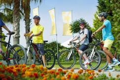 TUI MAGIC LIFE JACARANDA Activities