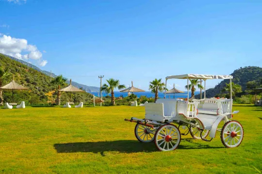 MANASPARK DELUXE OLUDENIZ HOTEL General Images