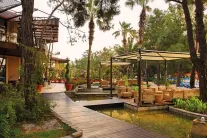MARTI MYRA RESORT Bars