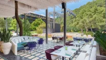 MAXX ROYAL KEMER Bars