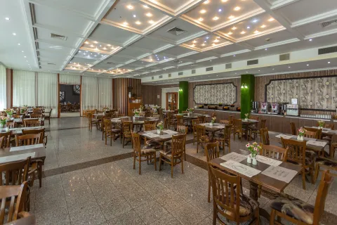 MERCURY HOTEL Restaurants