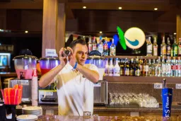 MERYAN HOTEL Bars