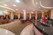 MG HOTELS WHITE LILYUM HOTEL Bars