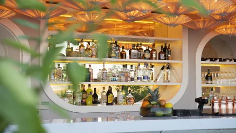 MIRADA EXCLUSIVE BODRUM Bars