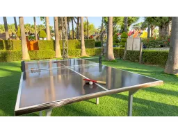 MIRAMARE QUEEN HOTEL Activities