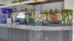 NATUR GARDEN HOTEL Bars