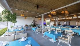 NIRVANA COSMOPOLITAN Restaurants