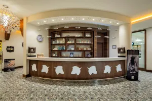 NIRVANA MEDITERRANEAN EXCELLENCE Bars