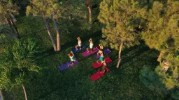NIRVANA MEDITERRANEAN EXCELLENCE Activities