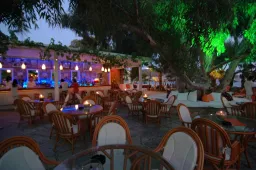 OKALIPTUS HOTEL Bars