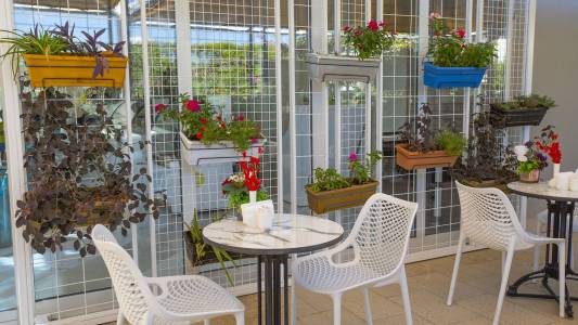 ORANGE COUNTY RESORT HOTEL BELEK Restaurants