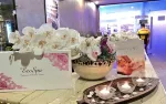 ORPHEUS HOTEL Spa
