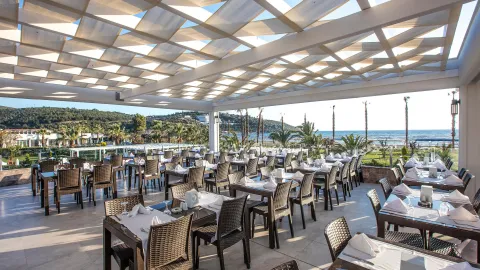 PALM WINGS EPHESUS BEACH RESORT Restaurants