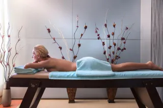 PALMIN HOTEL Spa