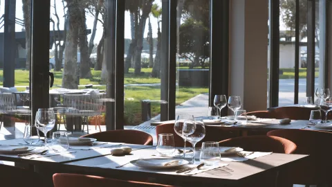 PALOMA FINESSE SIDE Restaurants