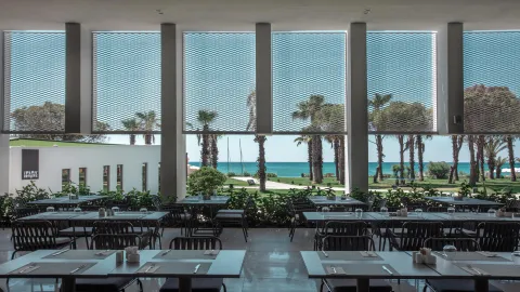 PALOMA FINESSE SIDE Restaurants