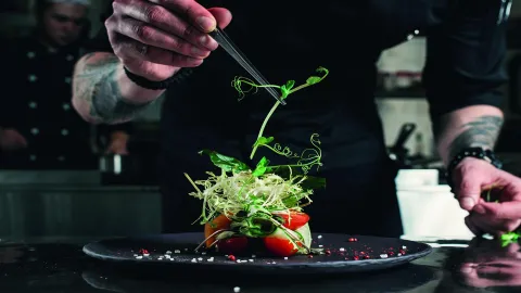 PALOMA FINESSE SIDE Restaurants