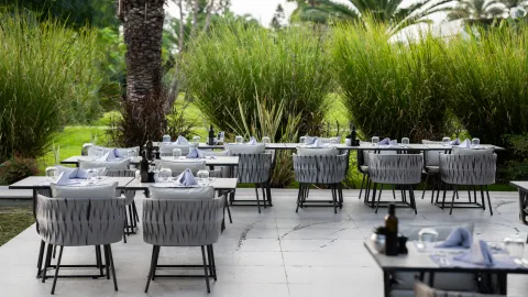 PALOMA FINESSE SIDE Restaurants