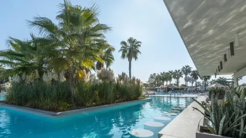 PALOMA ORENDA RESORT Bars