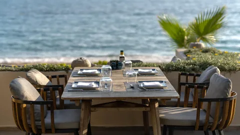 PALOMA ORENDA RESORT Bars