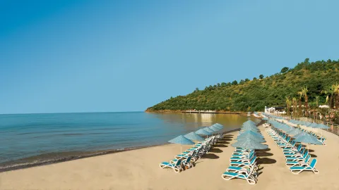 PALOMA PASHA RESORT Pools & Beach