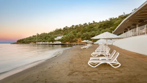 PALOMA PASHA RESORT Pools & Beach