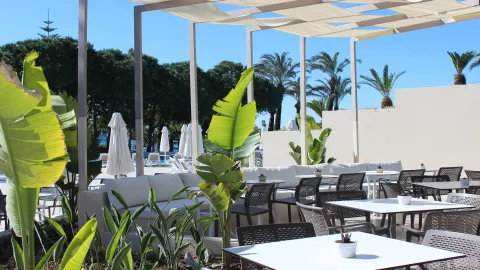 PALOMA PERISSIA Restaurants