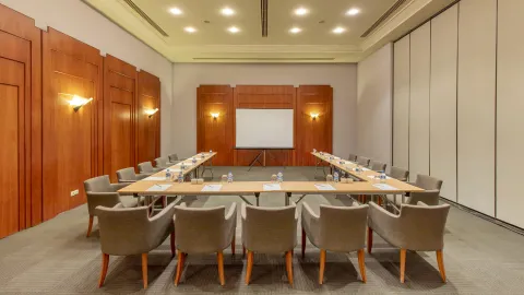 PALOMA PERISSIA Meetings