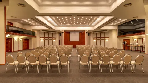 PALOMA PERISSIA Meetings