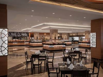 PAPILLON AYSCHA RESORT-SPA Restaurants