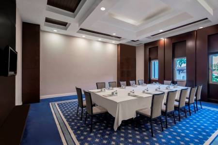 PAPILLON AYSCHA RESORT-SPA Meetings