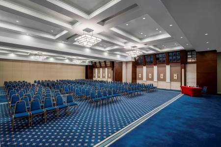 PAPILLON AYSCHA RESORT-SPA Meetings