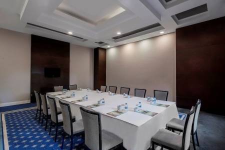 PAPILLON AYSCHA RESORT-SPA Meetings