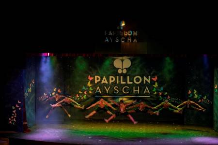 PAPILLON AYSCHA RESORT-SPA Activities