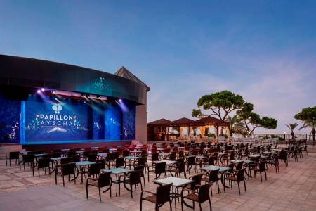 PAPILLON AYSCHA RESORT-SPA Activities