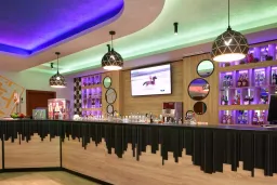 PARADISE BEACH HOTEL Bars